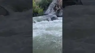 Kaweah river