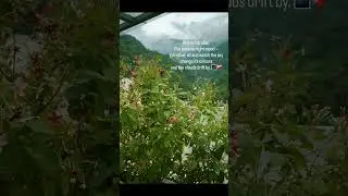 🏔️❤️&zwj;🩹 #youtubeshorts #ytshorts #shorts #mountains #rishikesh #lemontree #vibes