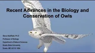 Recent Advances in Owl Biology and Conservation: Steve Sheffield