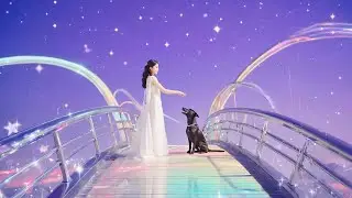 RAINBOW (After Rain) 🌈 | A_IDOL 감성 힐링 무비 | 무지개가 뜨는 순간