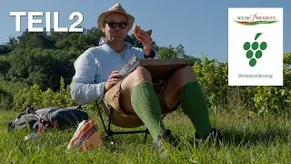 Frühstück in den Weinbergen | Weinparadies Franken Teil 2