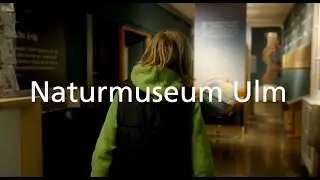 Imagefilm des Naturmuseums Ulm