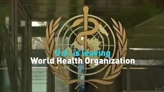 U.S. Left The WHO, America Lost Real-Time Access To Global