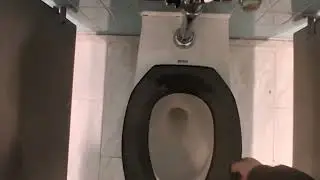 American Museum of Natural History toilets 