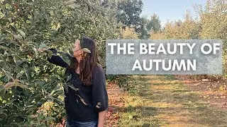 cozy autumn homemaking days