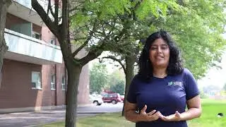 How Trees Cool Cities