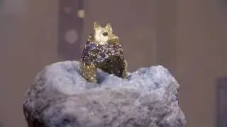 TEMPLE ST. CLAIR - The Golden Menagerie