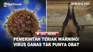 Virus Mematikan Menghantui! Nipah dari India Pernah Terdeteksi, DPR Warning
