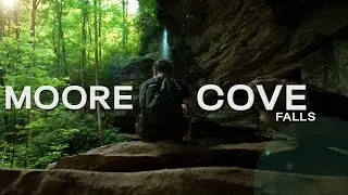 Moore Cove Falls: 4K Hidden Waterfall Tour in Pisgah National Forest