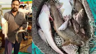 Karachi Mangroves Fishing 2022 | Rehri Goth to khai khudi | Fishing in Karachi | Karachi Fishing