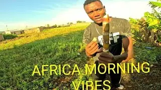 Spend a morning with me in village #morningroutine 🌒🌒🌓🌓