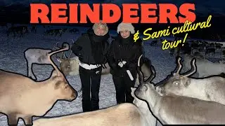 WINTERTRIP.zip - TROMSO [PART 4]
