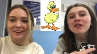 If It Quacks (Lifeguards want some Animal Hats)