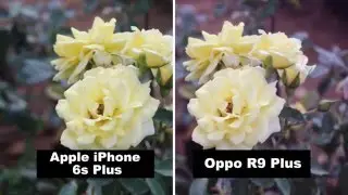 Apple iPhone 6s Plus VS Oppo R9 Plus Camera Review | Snap's | Test | Photo's