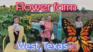 Spring Flower Festival at the Western Belle Farm| Lots of flowers blooming| (THE KOEN'S)