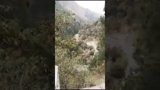 THE GREENERY BUSHES ATTRATES ME IN MOUNTAINY AREA#short