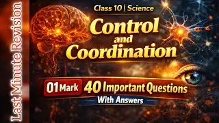 Control and Coordination Class 10 | Chapter 5 | 40 Important 1 Mark Questions