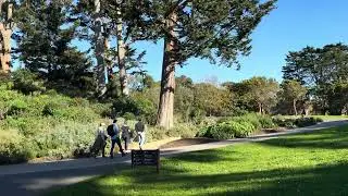 San Francisco Botanical Garden