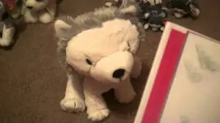 My Review On Jingle The Husky Pup Interactive Story Buddy