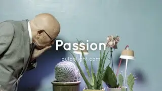 Passion - Bulbo 2014/15 [ENG]
