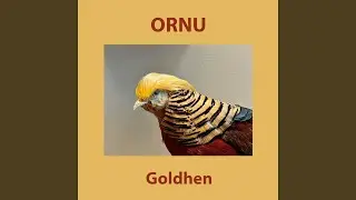 Sulun