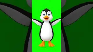 Dancing Penguin Green Screen Celebration | Penguin Awareness Day NCR Asset 06 #chromakey #animation