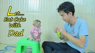 Let eat cake with dad | Adorable Baby Monkey Eating Cake With Daddy