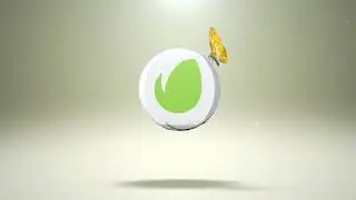 Flowers Butterfly Reveal | After Effects Template