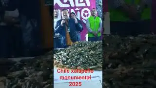 #chile#xalape&ntilde;o#monumental #septiembre #2025 Xalapa Veracruz #record #guinness 6300 chiles xalape&ntilde;o