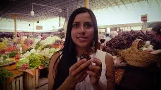 MOLCA - A Guide To Mexican Dried Chillies (Chile Secos)