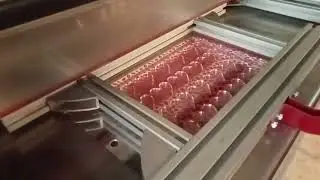 Lusso banmakser thermoforming machine for chocolate transfer sheet printing works