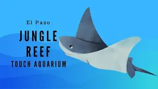 EP Jungle Reef tour only 2024