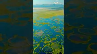 Loktak Lake: India&rsquo;s Floating Paradise in Imphal! #explore #india #loktak