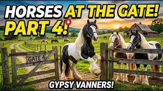 Horses at the gate part 4   World Horse day!!