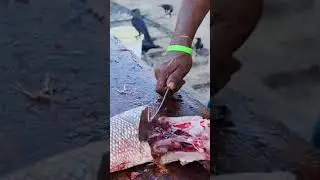 Satisfactory Emperor Fish Cutting 🇱🇰 | #fish_vs_blade #master_cutter_sri_lanka