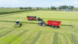 Gras hakselen | Lageveen Achlum | Grass Silage | Grash&auml;ckseln | Claas | Schuitemaker | JCB