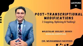 Post-Transcriptional Modifications | Capping | Splicing | Tailing | Lecture 11 | Dr. Muhammad Naveed