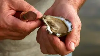 Learn to shuck Sydney Rock Oysters with East 33