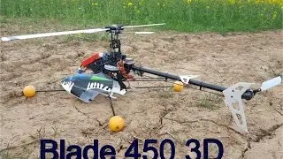 Blade 450 3D Helicopter First Flight (DSRocker)