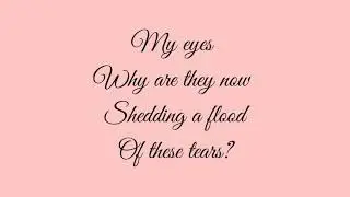 (방탄소년단) Your Eyes Tell English Lyrics