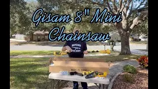 Gisam 8