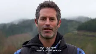 Industry insights &ndash; Cable Bay Adventure Park