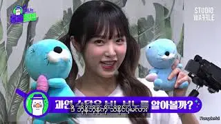 Animal Detective Yena mmsub Ep 04
