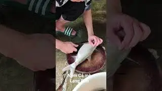 Ẩm thực #xuhuongyoutube #viral #came #monngon #langson #xulang #monnom #ca