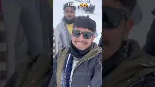 Guest's Enjoy Kashmir Trip || Md Tour Travels Pathankot