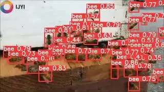 IJYI - Project Bees!