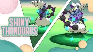 SHINY LEGENDARY ROAMER! FULL ODDS Shiny Thundurus in Gen V! [LIVE]