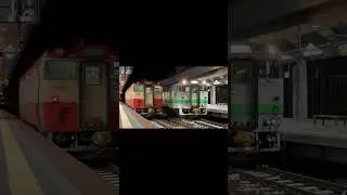 JR北海道キハ40形 定期運用終了 | JR Hokkaido KiHa 40 Series Retirement