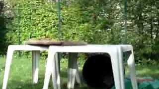 V070411 18 040001