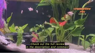 Review hygger Fish Aquarium LED Light, 14W 24/7 Lighting Sunrise-Daylight-Moonlight Mode DIY , Adjus